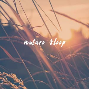 Nature Sleep - Nature Sounds