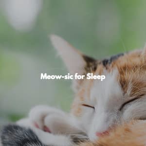 Meow-sic for Sleep - Música Alegre para Cafeterías