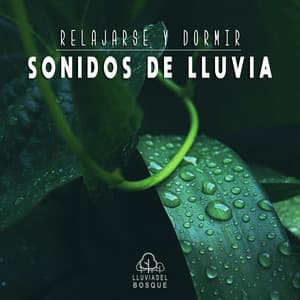 Relajarse y Dormir: Sonidos de Lluvia - Lluvia Del Bosque