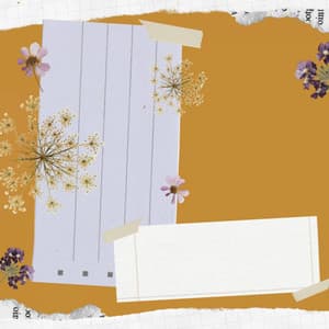 Number One Guitar Jazz - Background for Colorful Unwinding - Classy Bossa Piano Jazz Playlist