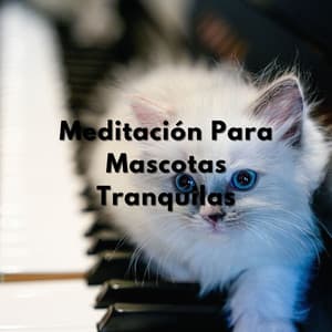 Plumaje Y Pelaje En Calma: Meditación Para Mascotas Tranquilas - Música Ambiente