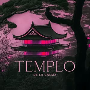 Templo de la Calma: Música de Meditación con Tambores Colgantes con Sonidos de la Naturaleza para una Profunda Relajación Curativa - Ambiente Relajante de Música