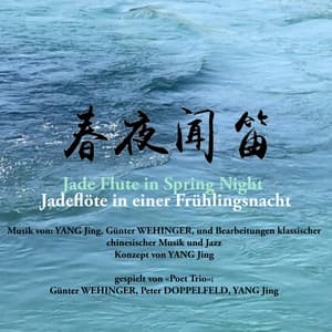 Jade Flute in Spring Night - Yang Jing