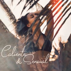Caliente & Sensual Chill Del Mar: Vibraciones Nocturnas, Chillout Ritmos, Después de la Fiesta - DJ Diablo Vibe