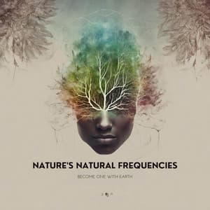 Nature's Natural Frequencies: All Elements, Wind, Water, Fire and Earth. - Binaural Source