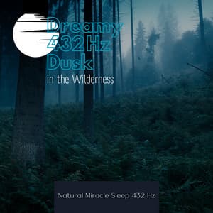 Dreamy 432 Hz Dusk in the Wilderness - Natural Miracle Sleep