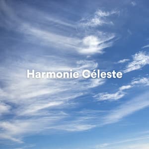 Harmonie Céleste - Yoga Nature
