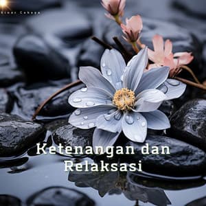 Ketenangan dan Relaksasi - Sinar Cahaya