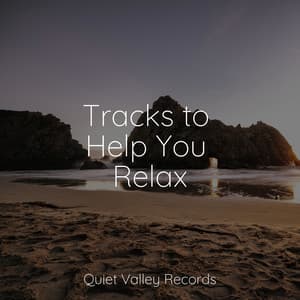 Tracks to Help You Relax - Ambient Music Therpy