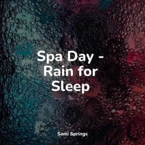 Spa Day - Rain for Sleep - Calm Down
