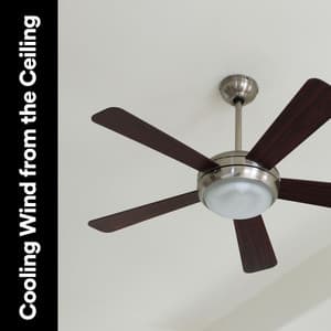 Cooling Wind from the Ceiling - Fan Noises for Sleep