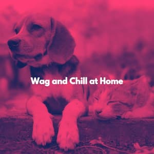 Wag and Chill at Home - Classy Lounge Playlist