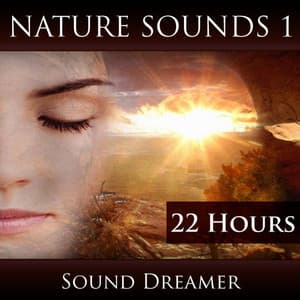 Nature Sounds 1 - Sound Dreamer