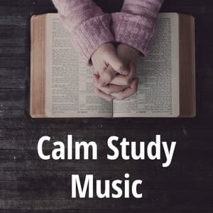 Calm Study Music - Study Focus