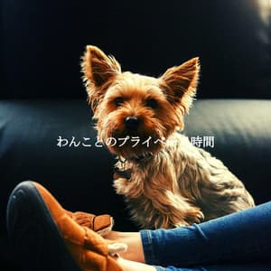 わんことのプライベート時間 - Jazz Relajante