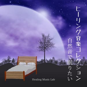 Healing Music Collection - Nature Sounds for Peaceful Sleep - Healing Music Lab