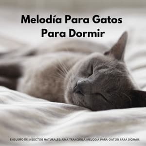 Ensueño De Insectos Naturales: Una Tranquila Melodía Para Gatos Para Dormir - Fondos de sonidos de la naturaleza