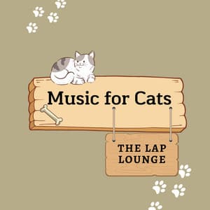 Music for Cats: The Lap Lounge - Halcyon Lounge