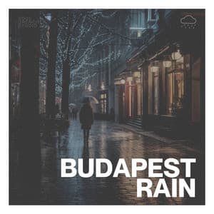 Budapest Rain - Regnskur