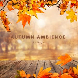 Autumn Ambience At Night - Natural Sounds Selections