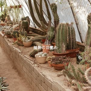 植物の目覚め - Tuesday Morning Jazz Playlist