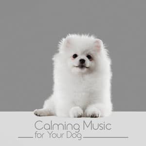 Calming Music for Your Dog: Deep Relaxation, Nerve Healing, Sweet and Tranquil Dreams - Pet Music Academy