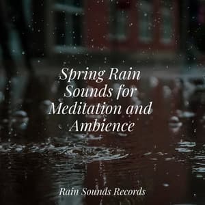 Spring Rain Sounds for Meditation and Ambience - Relaxing Music