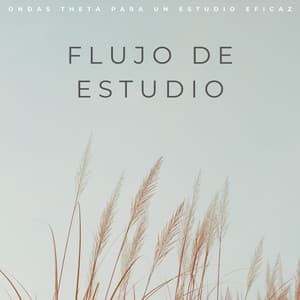 Flujo De Estudio: Ondas Theta Para Un Estudio Eficaz - Tonos de estudio Binaural