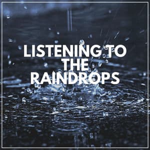 Listening to the Raindrops - Sample Rain Library