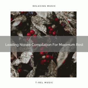 Leading Noises Compilation For Maximum Rest - Sleep & Dream Music Academy