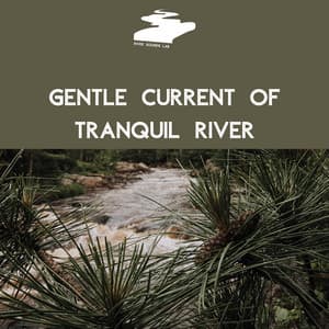 Gentle Current of Tranquil River - River Sounds Lab