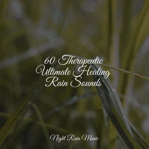60 Therapeutic Ultimate Healing Rain Sounds - Rain Sounds Sleep