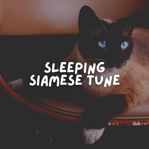 Sleeping Siamese Tune - Music for Cats Peace