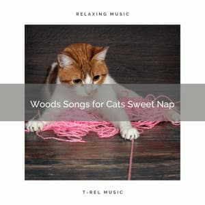 Woods Songs for Cats Sweet Nap - Sleepy Cats
