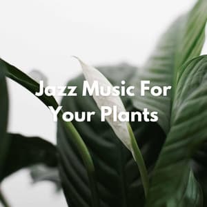 Jazz Music For Your Plants - Jazz para Dormir