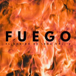 Fuego: El Sonido De Leña Vol. 2 - Sonido Del Bosque y Naturaleza