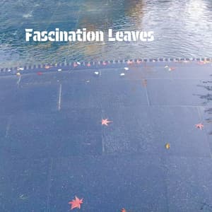 Fascination Leaves - Relaxing Piano Music