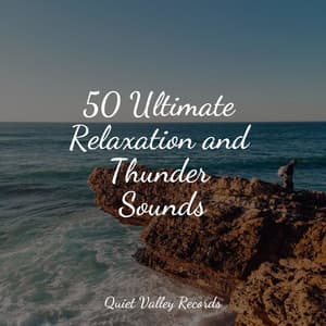 50 Ultimate Relaxation and Thunder Sounds - Rain Sound Plus
