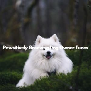 Pawsitively Grooving Dog Owner Tunes - Separation Anxiety Dog Music