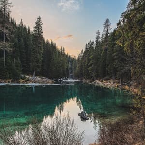 1 Hour of Charming Levee Sounds - Ambient Forest