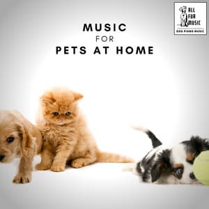 Music For Pets At Home - Jingle Cats