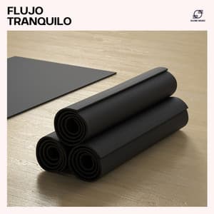Flujo Tranquilo: Yoga Relajación - Academica de Música de Yoga Pilates