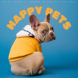 Happy Pets: Rains, Winds & Thunder To Soothe Your Pets - Music for Dogs Moments