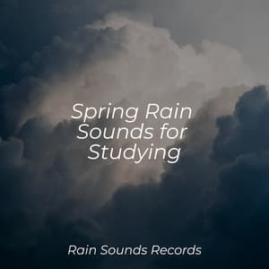 Spring Rain Sounds for Studying - Relax Meditate Sleep
