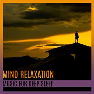 Mind Relaxation: Music for Deep Sleep, Evening Meditation, Dreaming, Trouble Sleeping Healing - Peaceful Mind Music Consort
