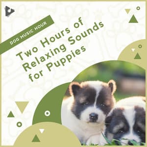 2 Hours of Relaxing Sounds for Puppies - Dog Music Hour
