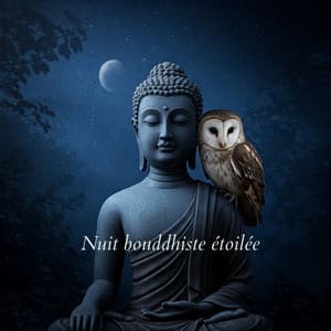 Nuit bouddhiste étoilée - Zen Méditation Ambiance