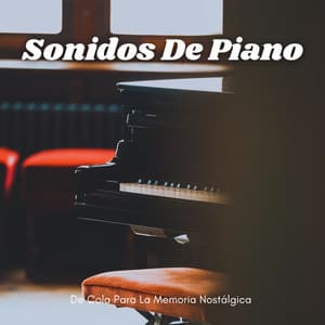 Sonidos De Piano De Cola Para La Memoria Nostálgica - Maestras de piano relajantes