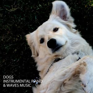 Dogs: Instrumental Piano & Waves Music - The Solfeggio Peace Orchestra