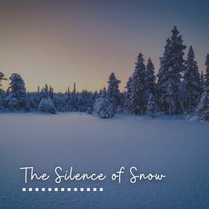 The Silence of Snow - Relaxing Music for Stress Relief